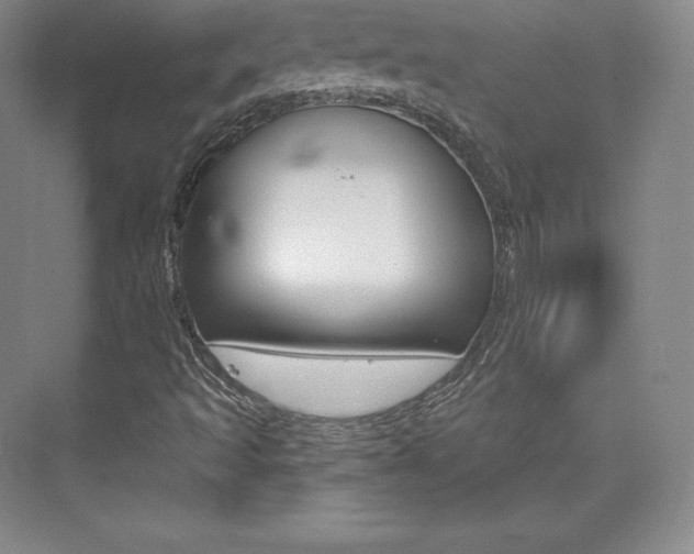 X0000073931493200608111012