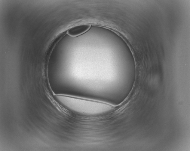 X0000073931499200608111012