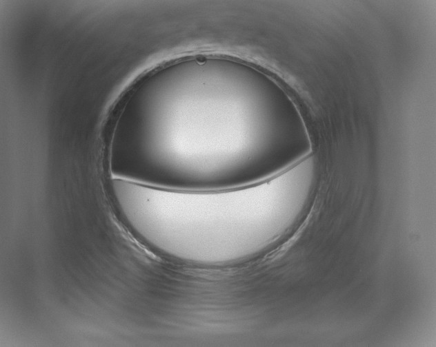X0000073931502200608111012