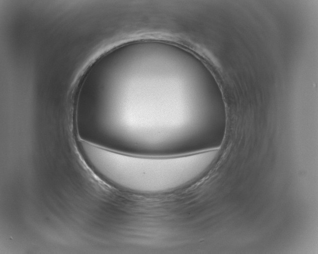 X0000073931504200608111012