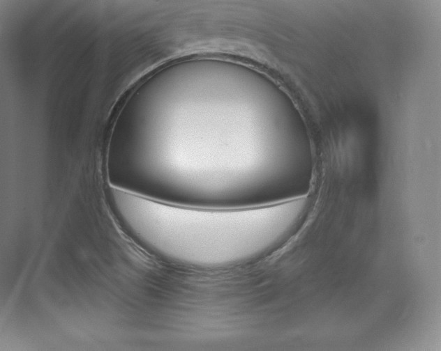 X0000073931505200608111012