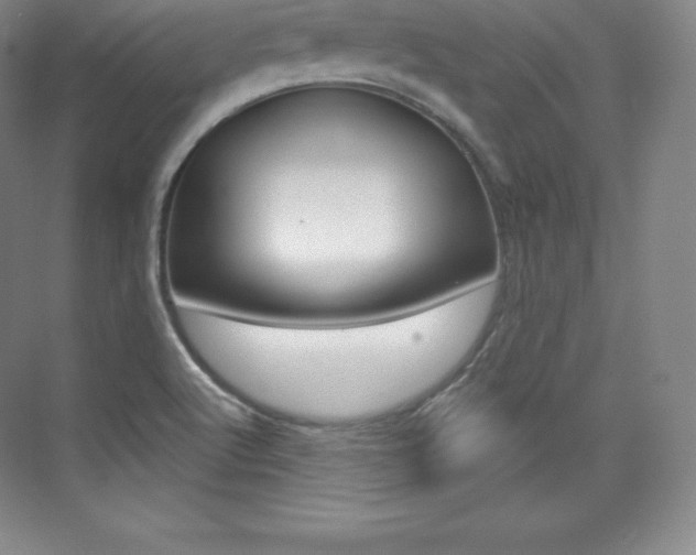X0000073931512200608111012