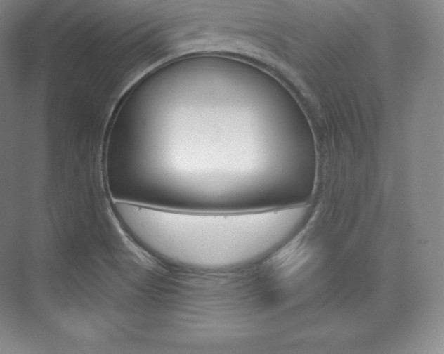 X0000073931513200608111012
