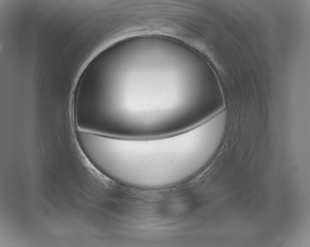 X0000073931516200608111012