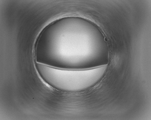 X0000073931519200608111012
