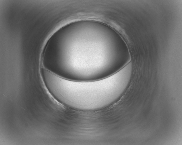 X0000073931520200608111012