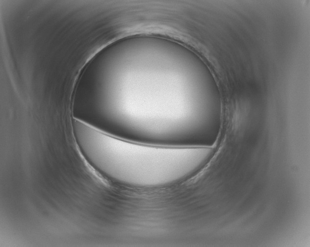 X0000073931521200608111012