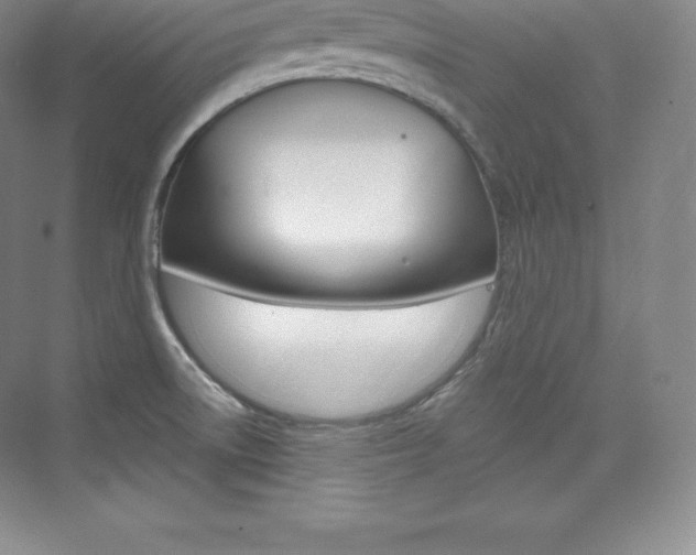 X0000073931522200608111012