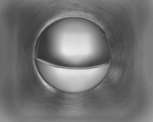 X0000073931523200608111012