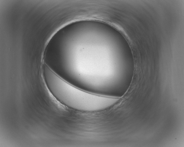 X0000073931524200608111012