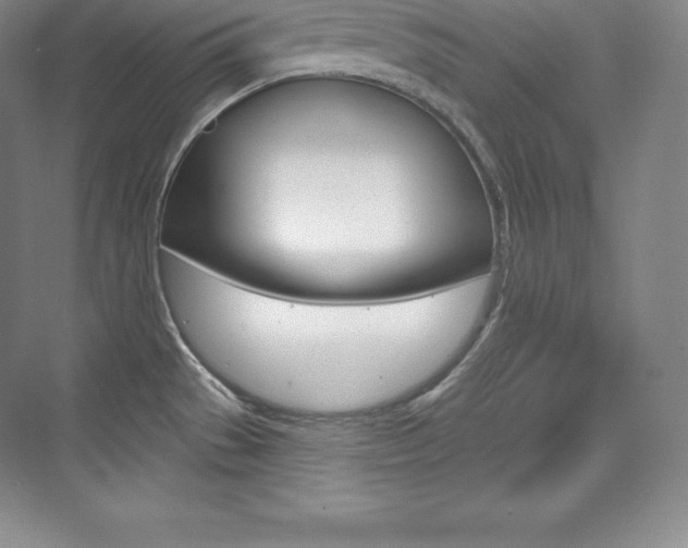 X0000073931529200608111012