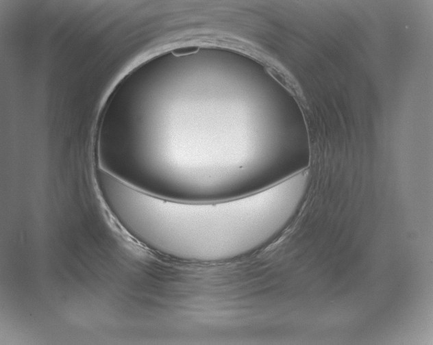 X0000073931530200608111012