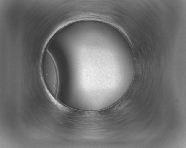 X0000073931531200608111012
