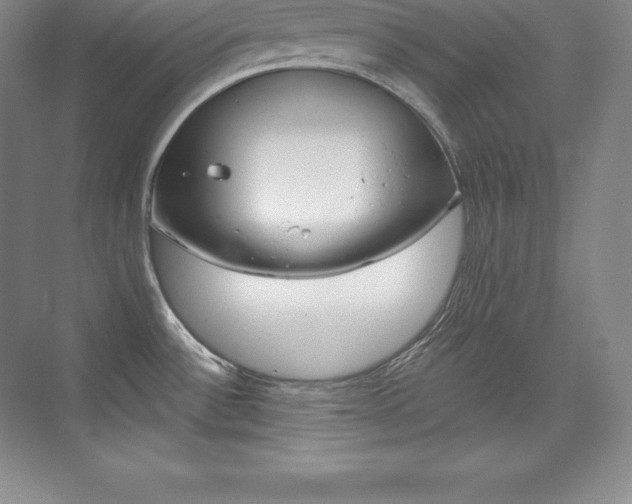 X0000073931532200608111012