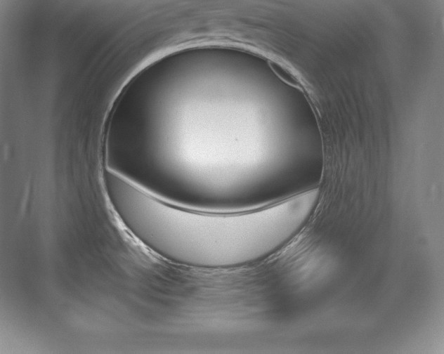 X0000073931534200608111012