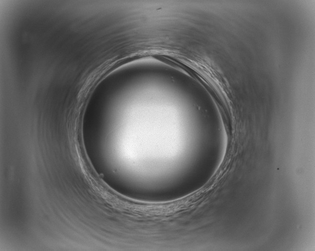 X0000073930001200608111212