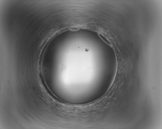 X0000073930002200608111212