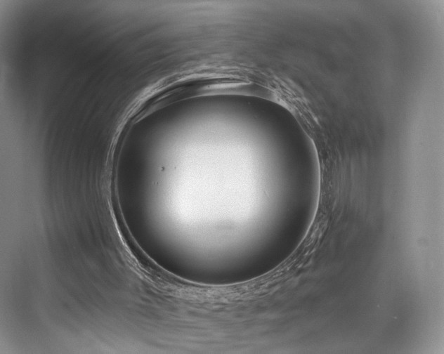 X0000073930003200608111212