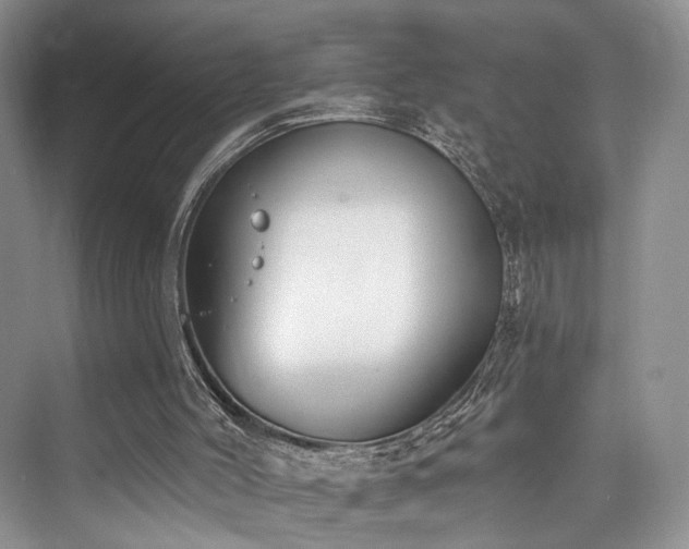 X0000073930004200608111212