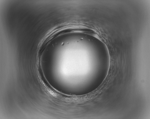 X0000073930005200608111212