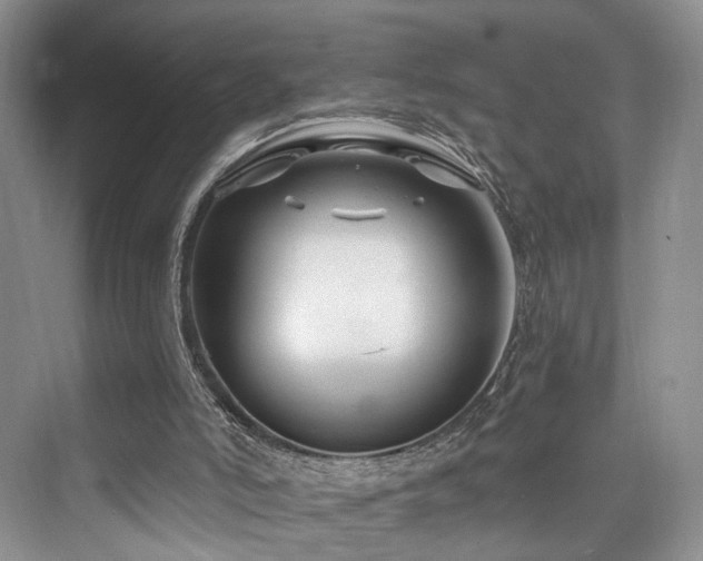 X0000073930006200608111212