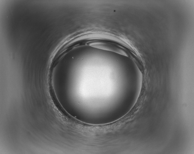 X0000073930007200608111212