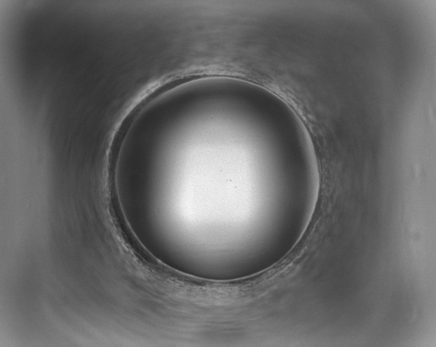 X0000073930008200608111212