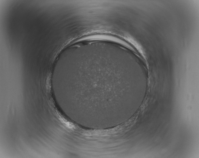 X0000073930009200608111212