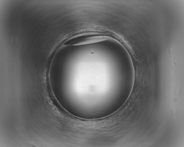 X0000073930010200608111212