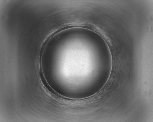 X0000073930011200608111212