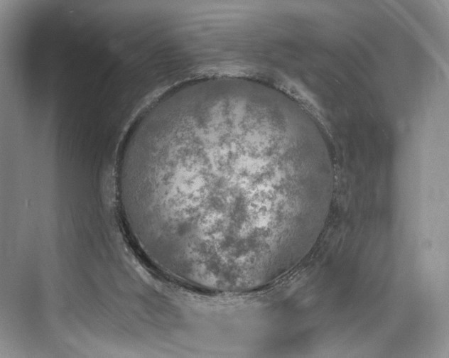 X0000073930012200608111212