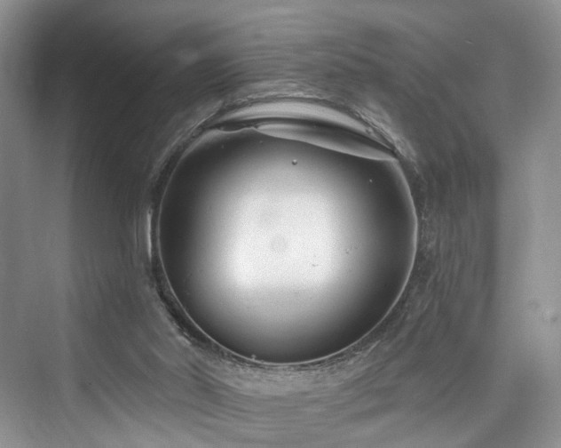 X0000073930014200608111212