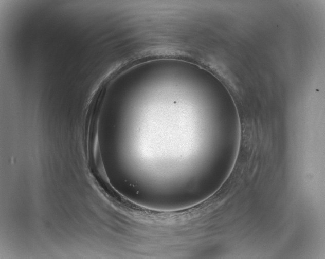 X0000073930015200608111212