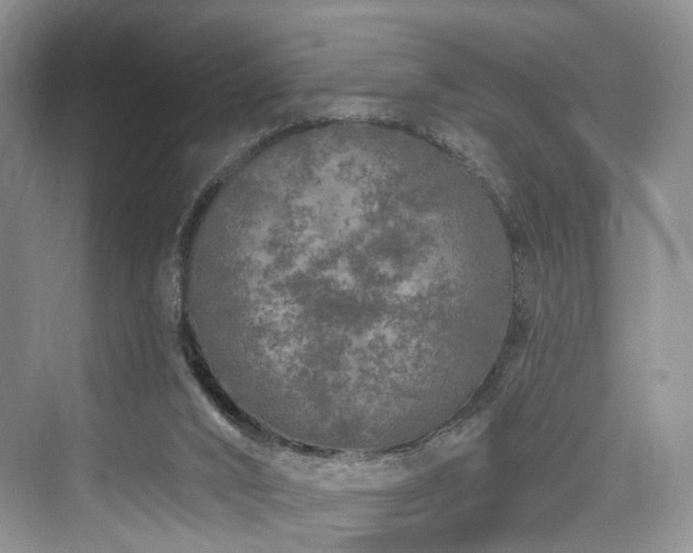 X0000073930016200608111212