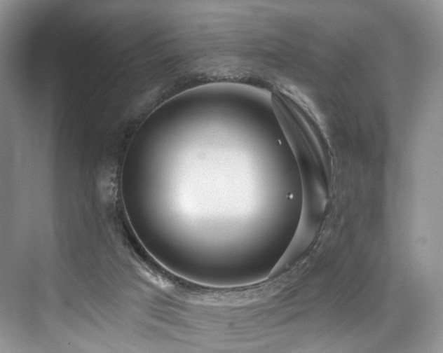 X0000073930017200608111212