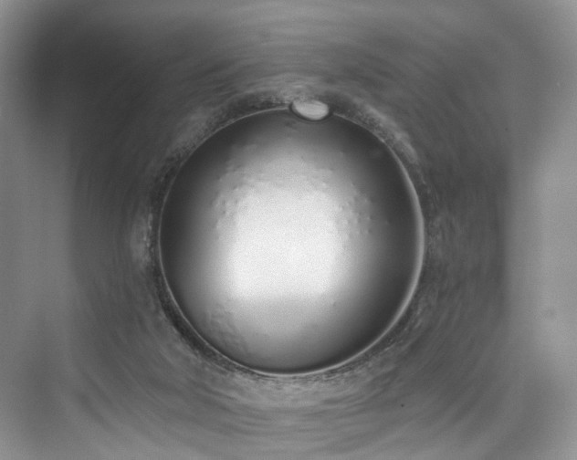 X0000073930018200608111212