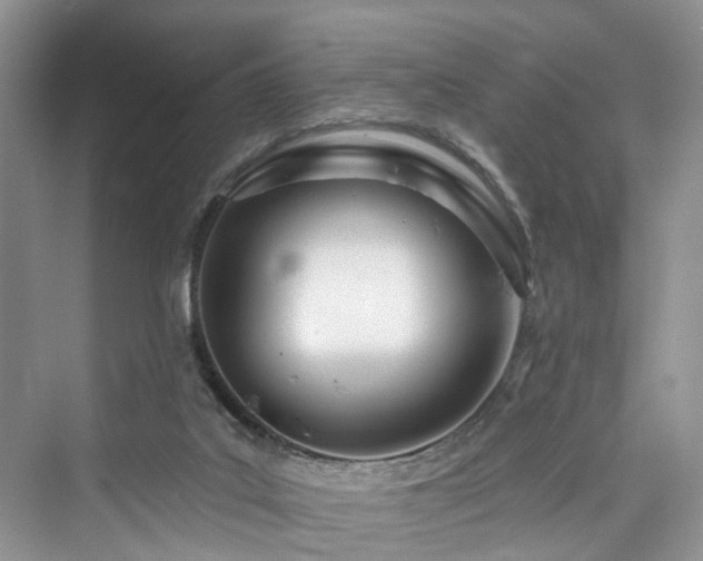 X0000073930019200608111212