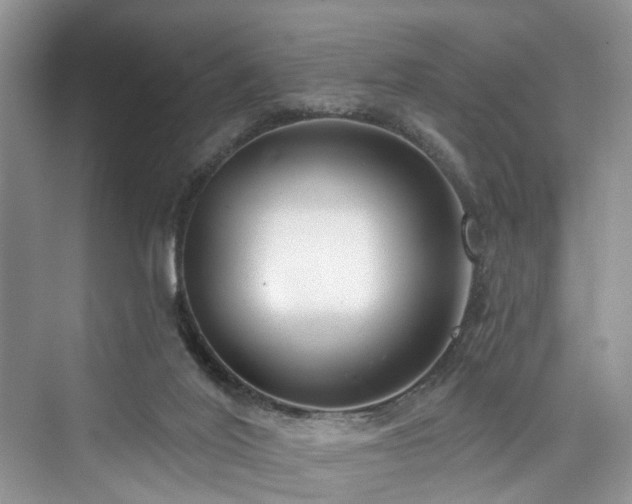 X0000073930020200608111212