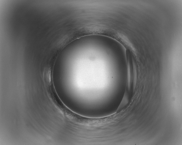 X0000073930021200608111212