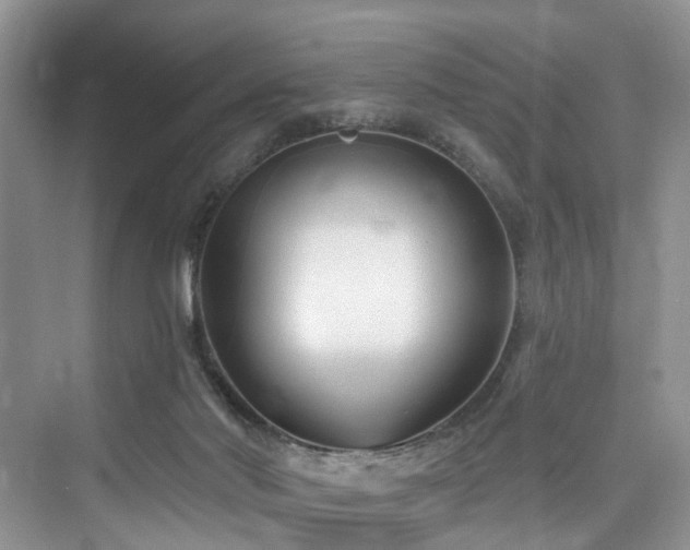 X0000073930022200608111212