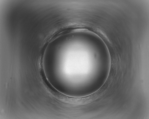 X0000073930023200608111212