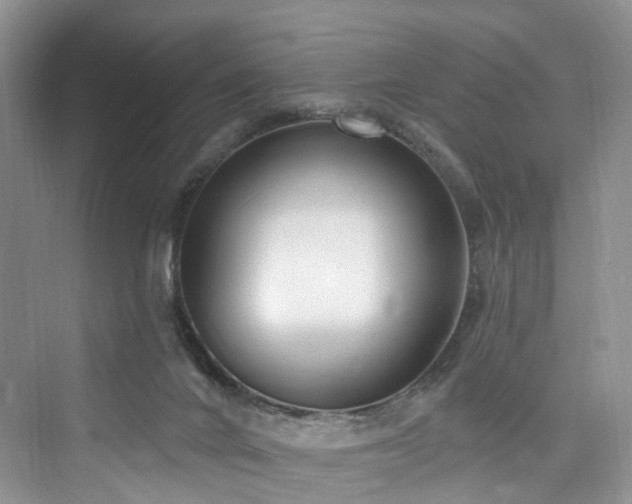 X0000073930024200608111212