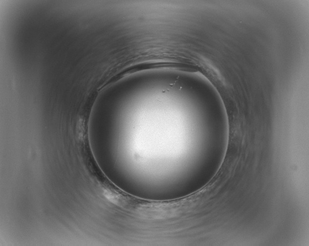 X0000073930025200608111212