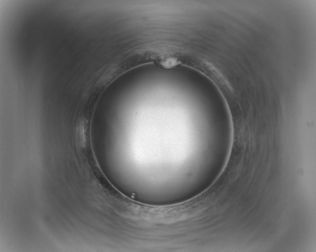 X0000073930026200608111212