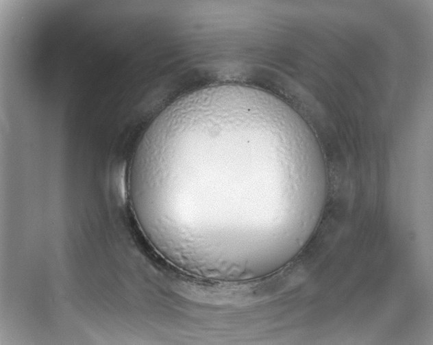 X0000073930028200608111212