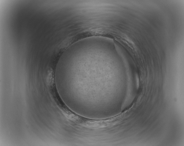 X0000073930029200608111212