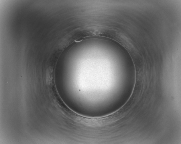 X0000073930030200608111212