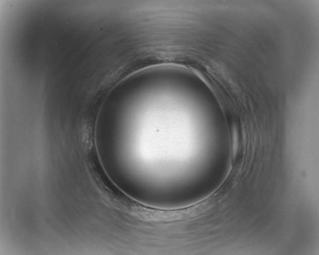 X0000073930031200608111212