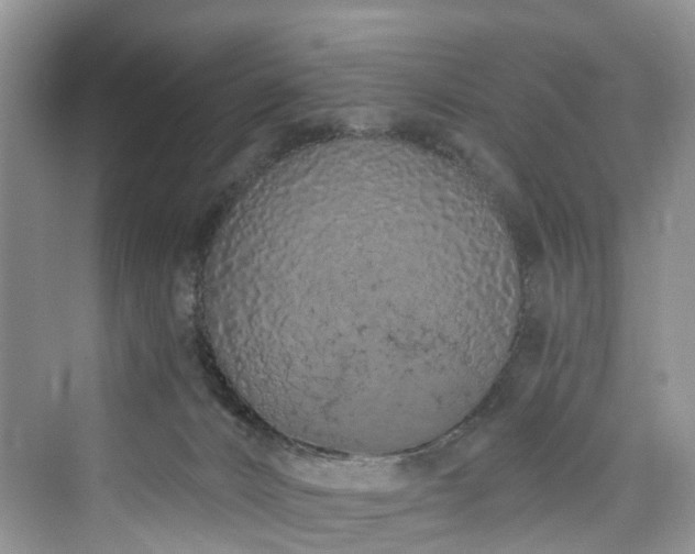 X0000073930032200608111212