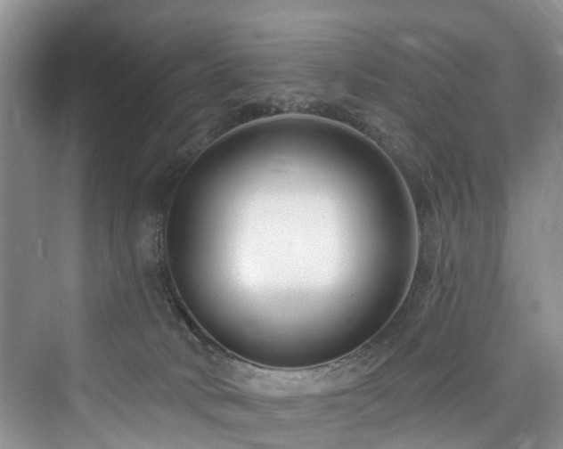 X0000073930034200608111212